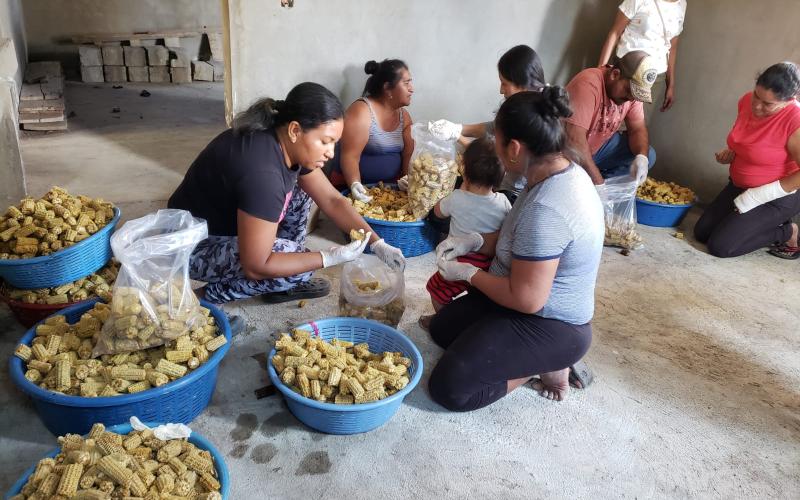 Fomentando nuevos y emprendimientos en Santa Ana Huista