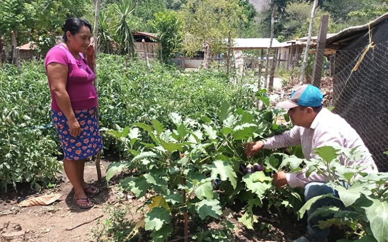 Huertos Familiares promueven el desarrollo en Petén