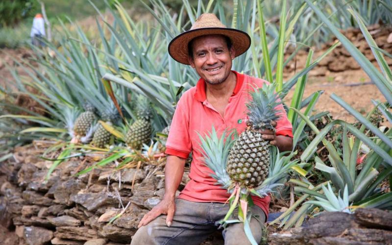 Conozca las frutas más populares que se producen en Guatemala