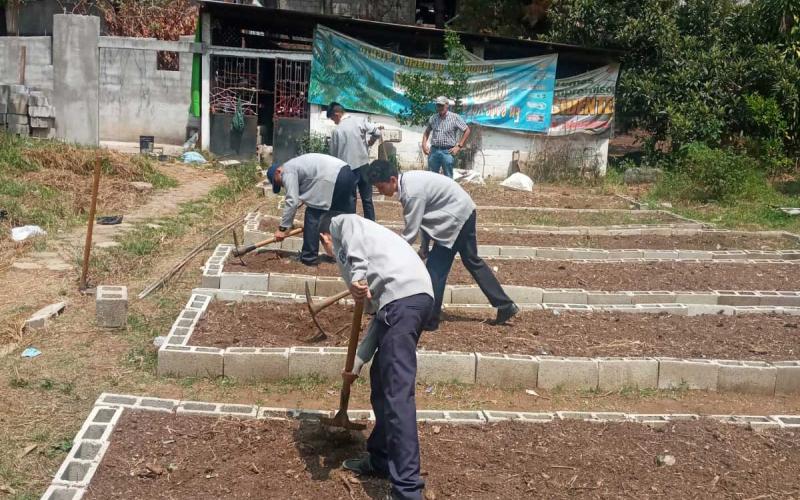 Sigue la implementación de los Huertos Escolares Pedagógicos