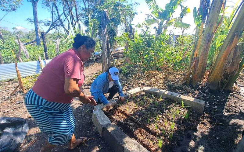 Dan seguimiento a manejo de huertos familiares en San Andrés, Petén para fortalecer sus capacidades