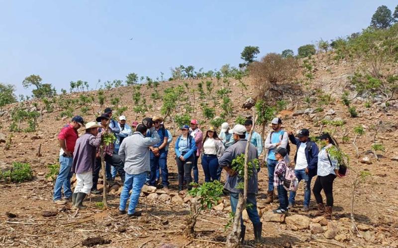 Zacapa: velan por el bienestar de los huertos familiares y la salud del suelo