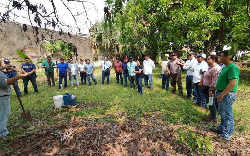 Mejoran salud de suelos mediante organismos de montaña