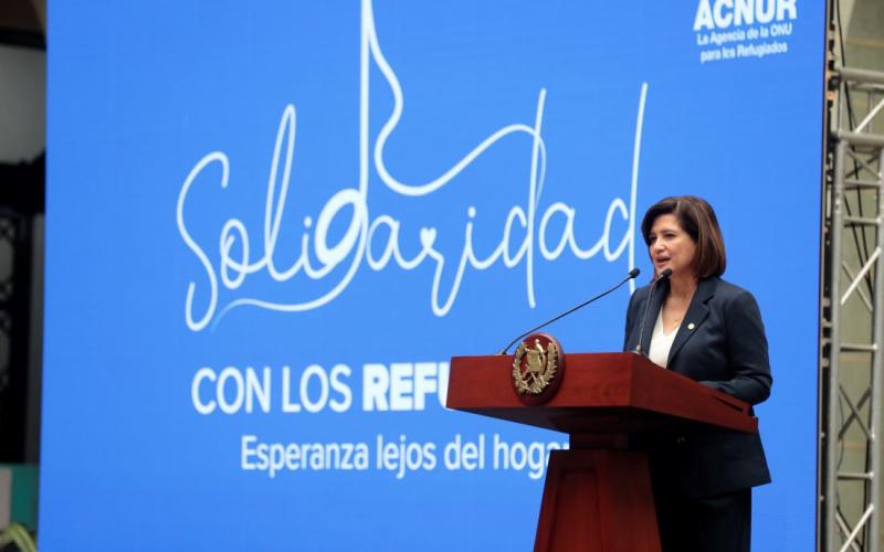 Vicepresidenta Karin Herrera