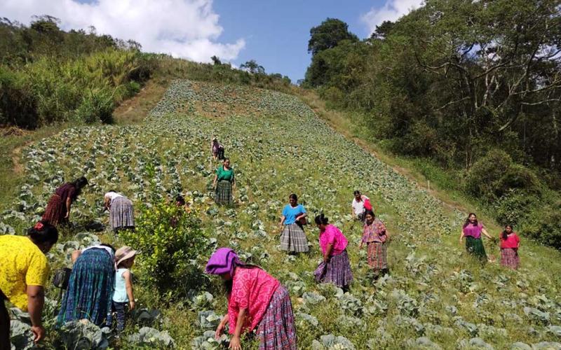 Combatiendo la inseguridad alimentaria en el área rural