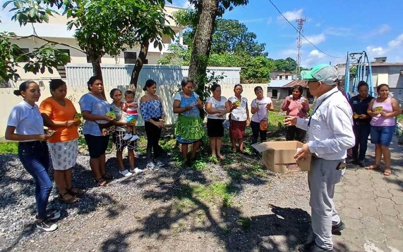 Entregan insumos y brindan capacitación de avicultura en Suchitepéquez