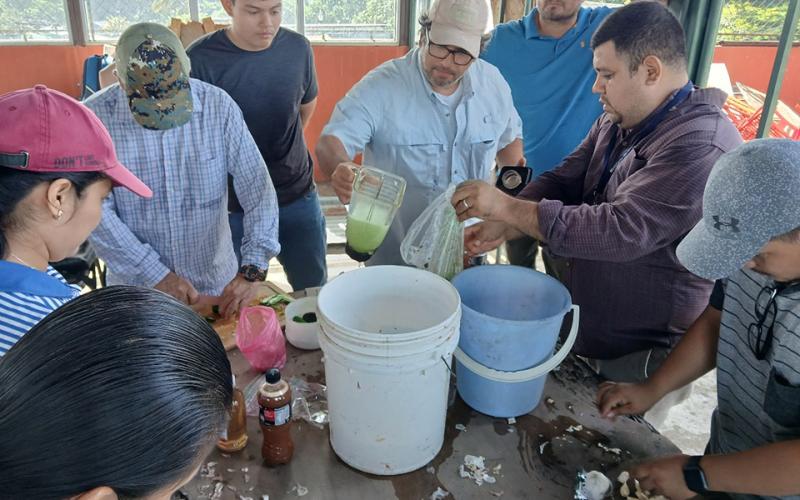 Producen biopesticida orgánico