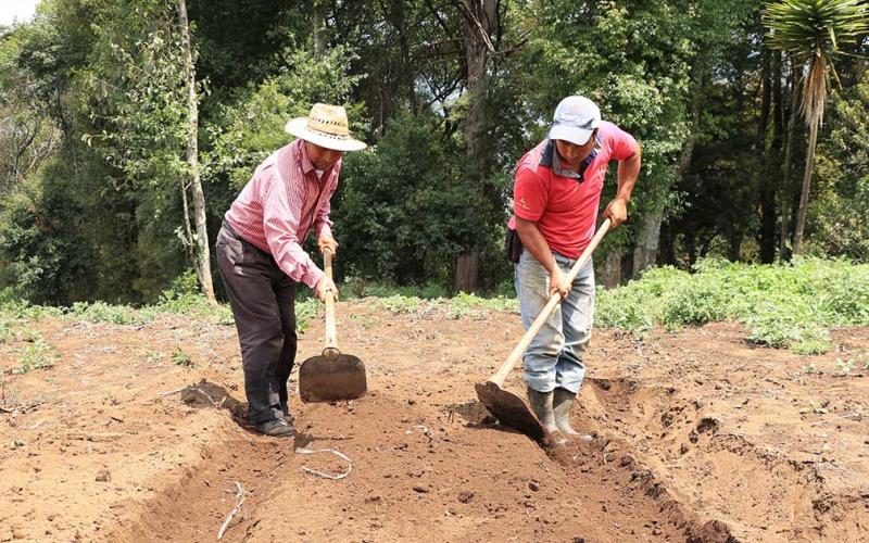 Territorios agrícolas pueden experimentar condiciones asociadas a la canícula