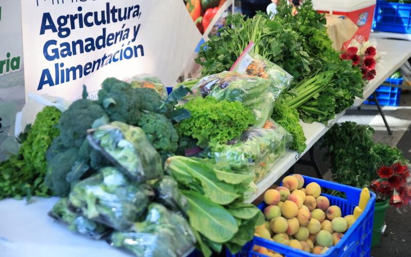 Lunes y martes son las próximas fechas de la Feria del Agricultor