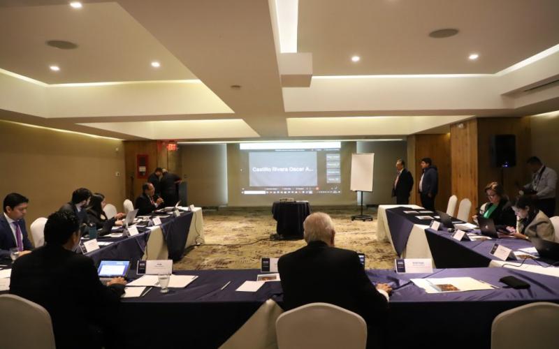Comité Ad Hoc analiza redacción del Tercer Protocolo del Tratado Marco del Mercado Eléctrico Regional