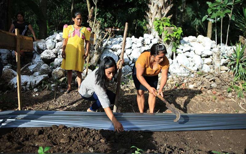 Agradecen apoyo al programa Pro-Resiliencia