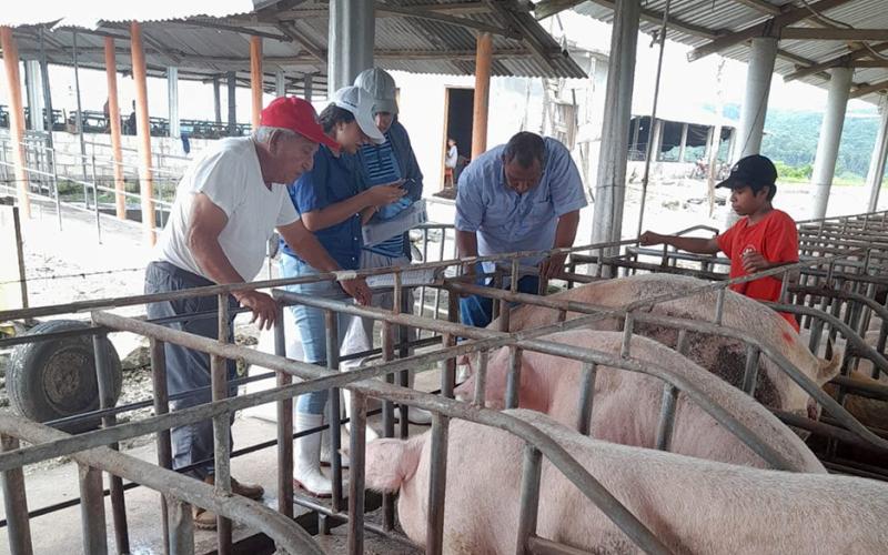Brindan asistencia técnica en Melchor de Mencos