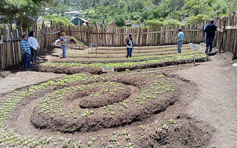 Estudiantes y docentes de Chiantla fortalecen conocimientos en agricultura sostenible