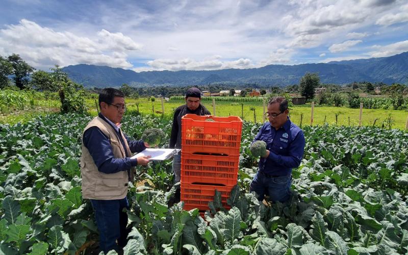 Realizan monitoreo de precios de productos en San Marcos
