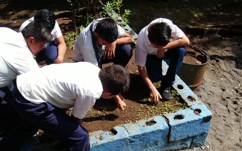Verifican áreas para implementar huertos escolares en Santa Rosa