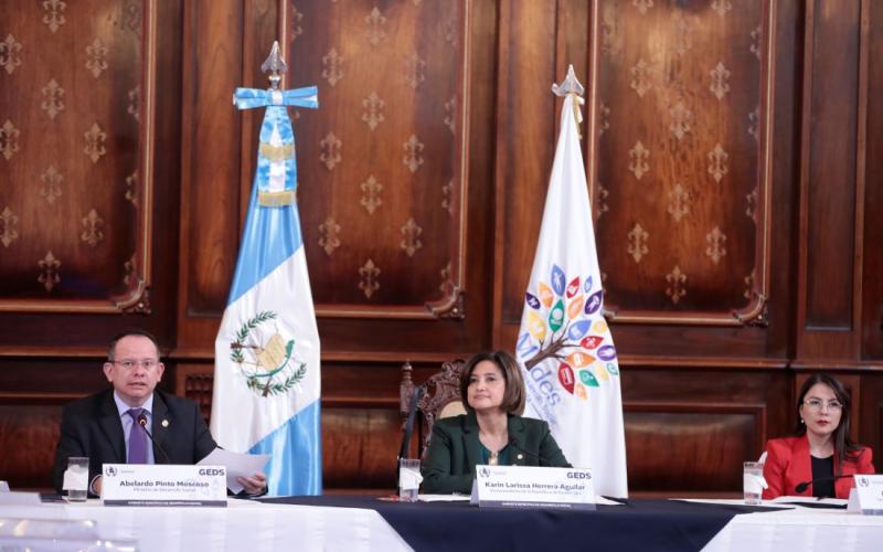 Vicepresidenta Karin Herrera