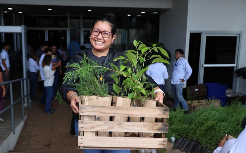 Por segundo año consecutivo el INDE regalará miles de plantas para contribuir a reforestar el país.