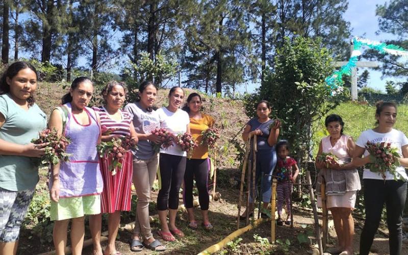 Fortalecen seguridad alimentaria con huerto comunitario