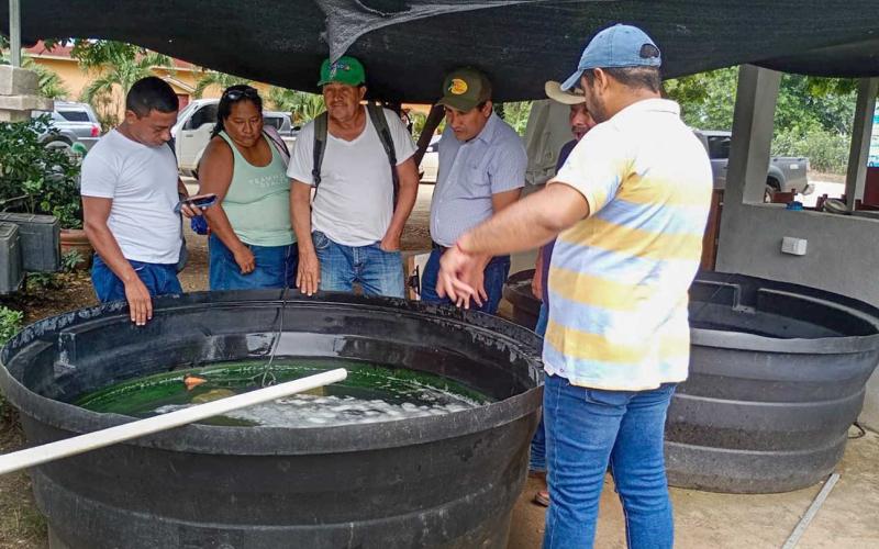 Fortaleciendo la acuicultura en Petén