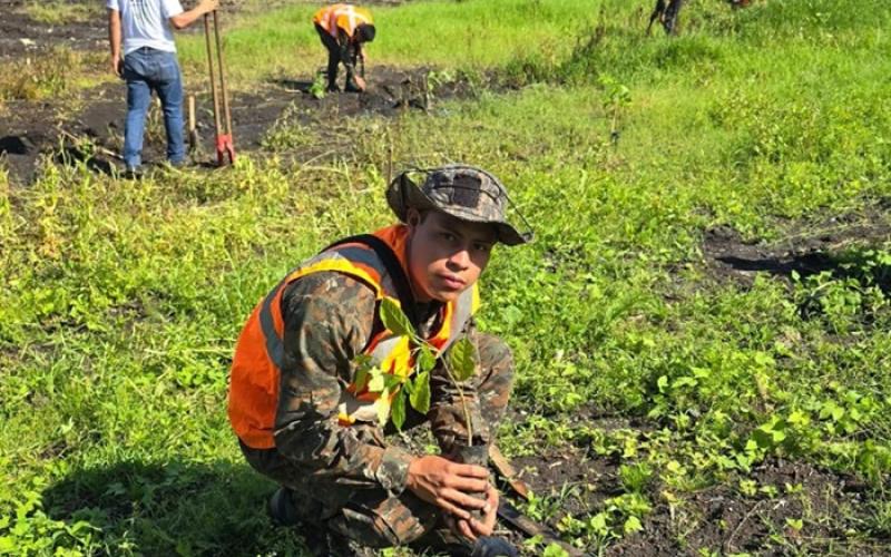 Ejército de Guatemala alcanza un 79% de su meta proyectada de reforestación.