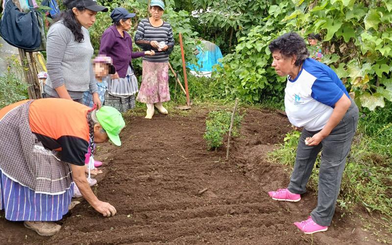 Implementan huertos familiares en San Bartolomé Milpas Altas
