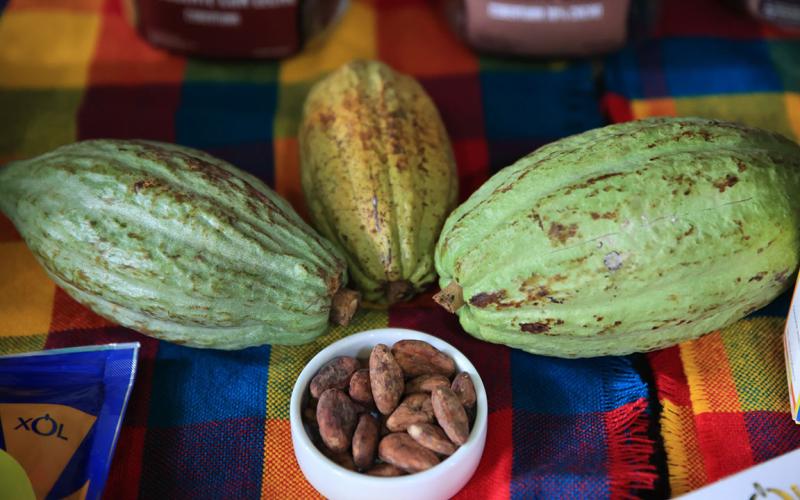 Cacao