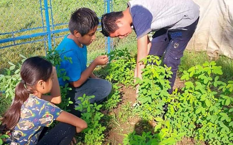 Supervisan recolecta de primera cosecha de huerto escolar en aldea Esquipulas Nica