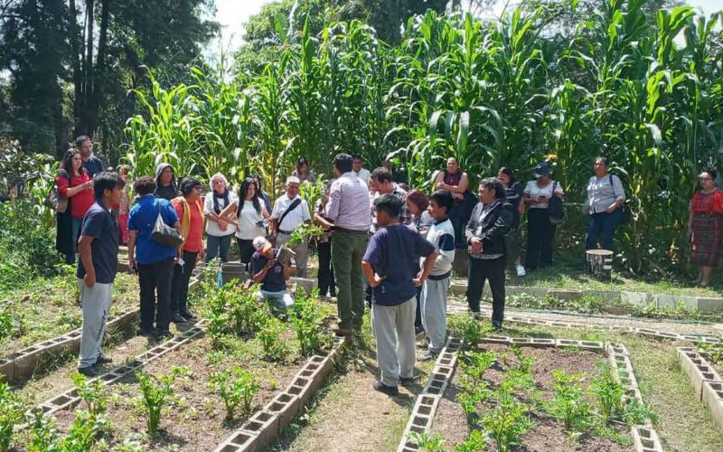 En Mixco y Guatemala fortalecen la educación en agricultura urbana