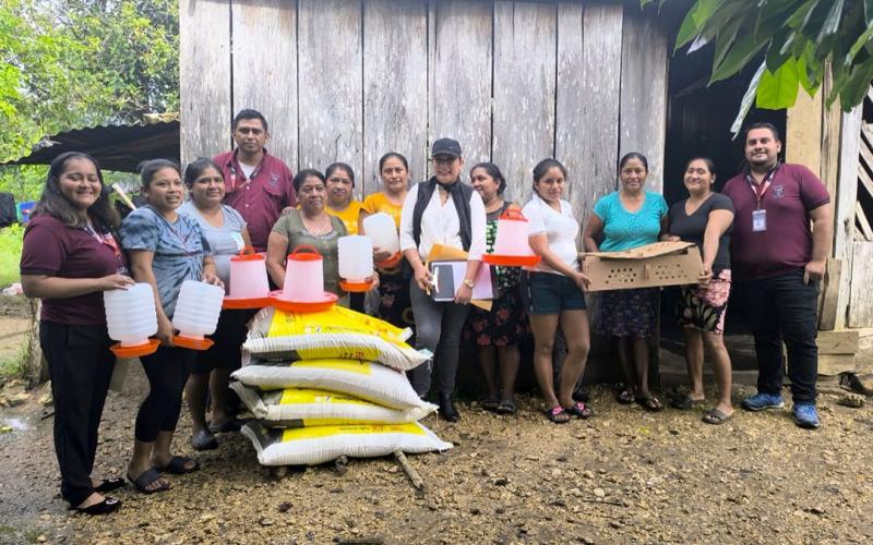 Entregan pollos de engorde a 128 granjas en Petén