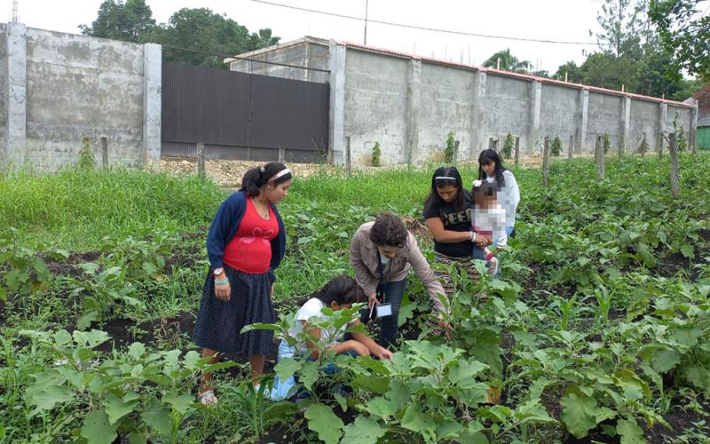 Jóvenes de Machaquilá recogen cosecha de huerto comunitario