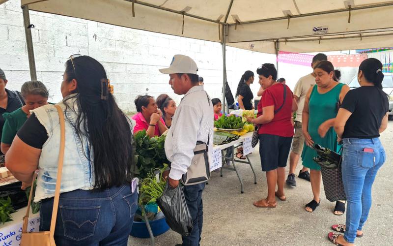 Las Cruces y San Benito son anfitriones de la Feria del Agricultor