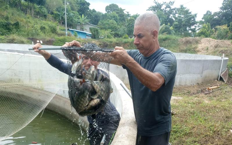 Proyectos acuícolas de Petén reciben asistencia técnica 