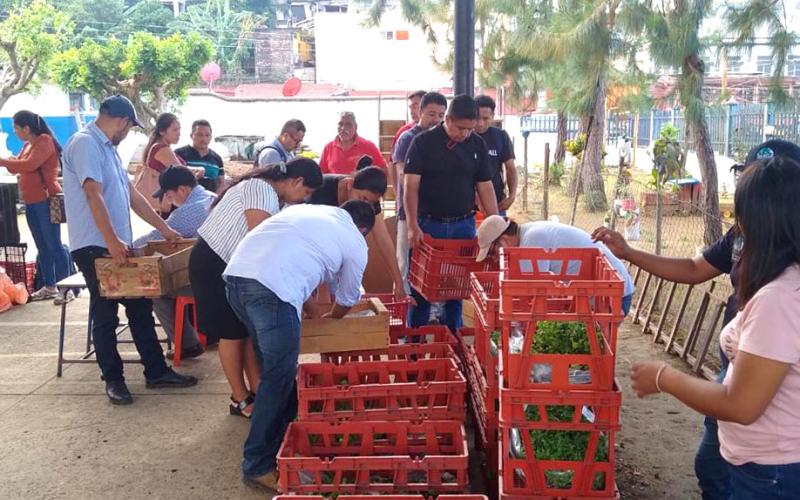 Alrededor de 1.8 millones de plántulas de hortalizas distribuidas en todo el país