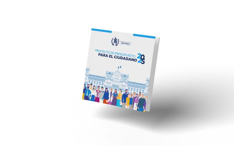 Proyecto de presupuesto ciudadano