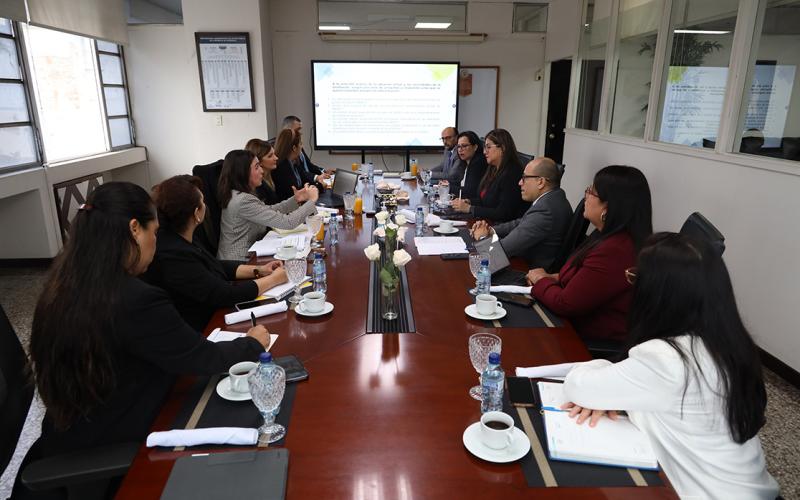 En la reunión se estableció la metodología del proceso de análisis