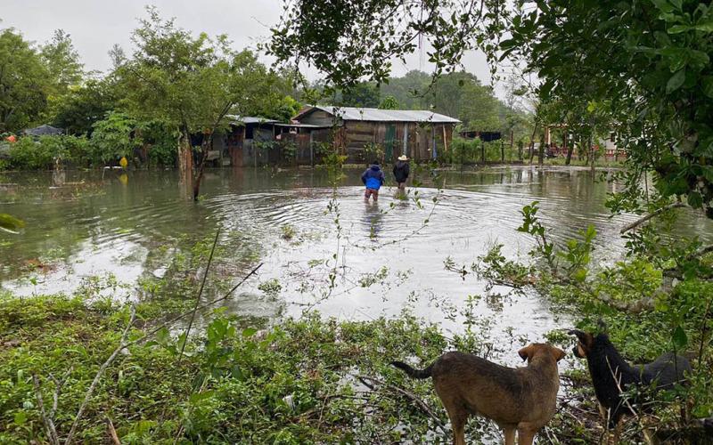 MAGA se encuentra en apresto para atender a damnificados por tormenta Sara