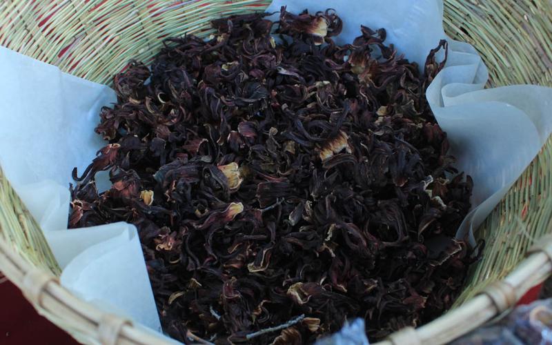 La Jamaica es más que una bebida