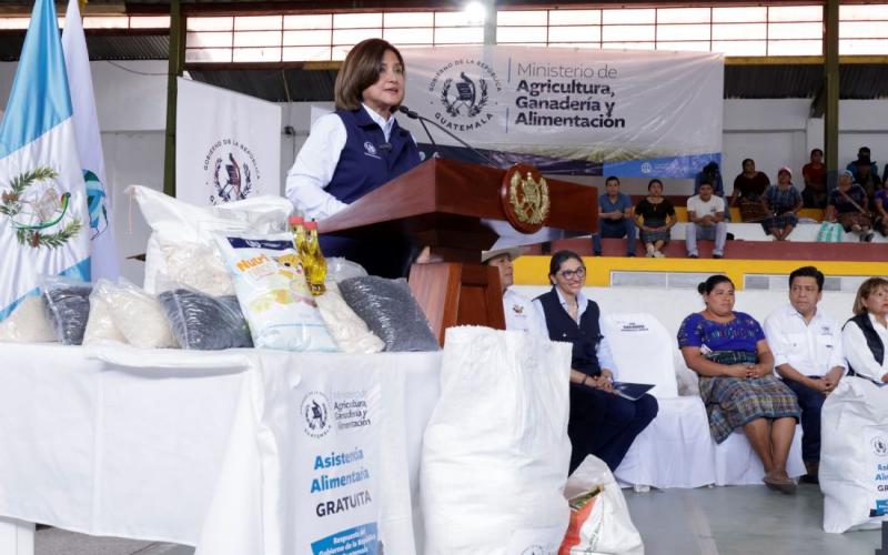 Vicepresidenta Karin Herrera
