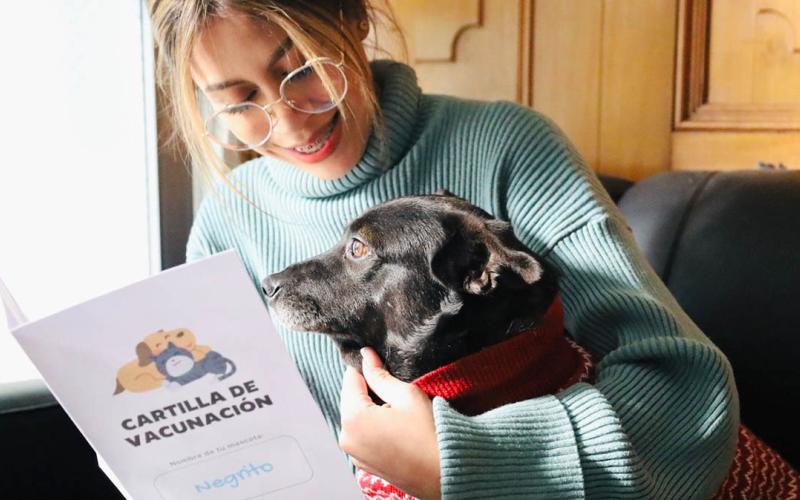 Recomendaciones para resguardar sus mascotas en las fiestas de fin de año