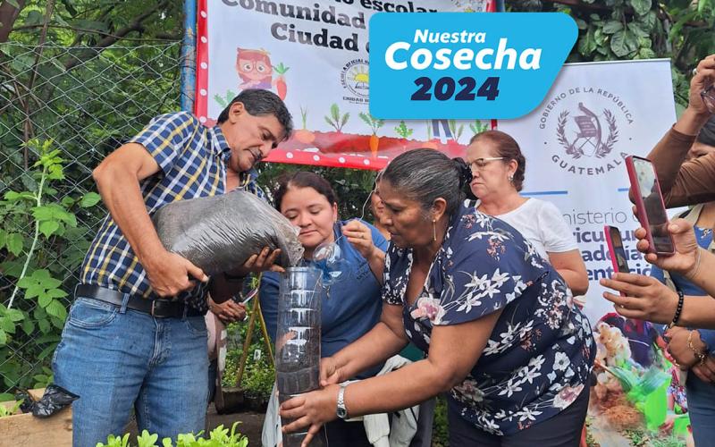 Se implementaron más de 15 mil huertos a nivel nacional 