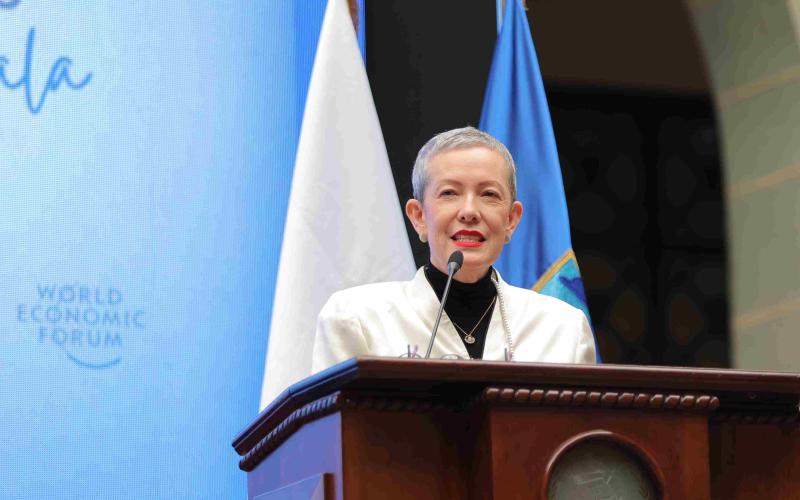 Viceministra Ugalde presenta IPEG