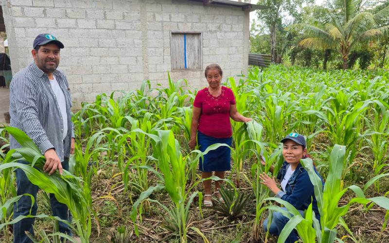 Proyectos de asociación de cultivos para mejorar la seguridad alimentaria