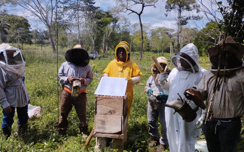 Apicultores de Santa Ana capacitados para mejorar producción de miel