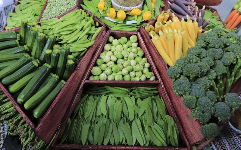 Conozca los alimentos protectores