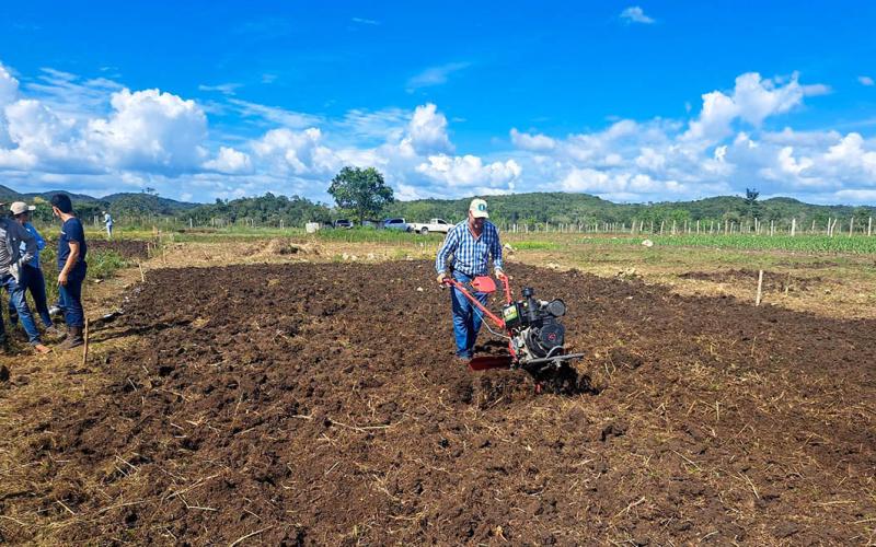 Estudiantes peteneros aprenden a preparar el terreno para cultivar jalapeños
