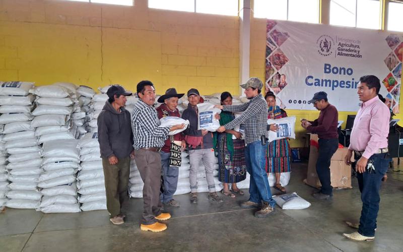 Impulso al uso de semillas nativas criollas para fortalecer la agricultura familiar