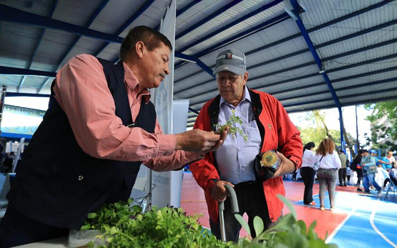 Los huertos familiares son una alternativa para la alimentación y bienestar de los adultos mayores
