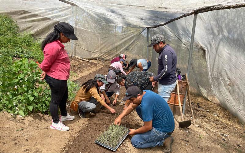 Familias de Malacantancito reciben asistencia técnica para huerto comunitario