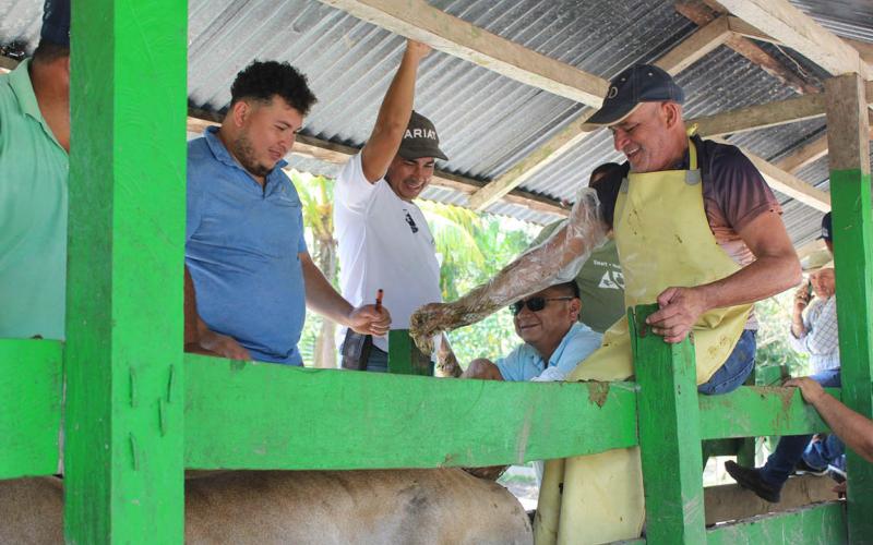 Ganaderos de Dolores, Petén se capacitan en inseminación artificial y fortalecen su producción