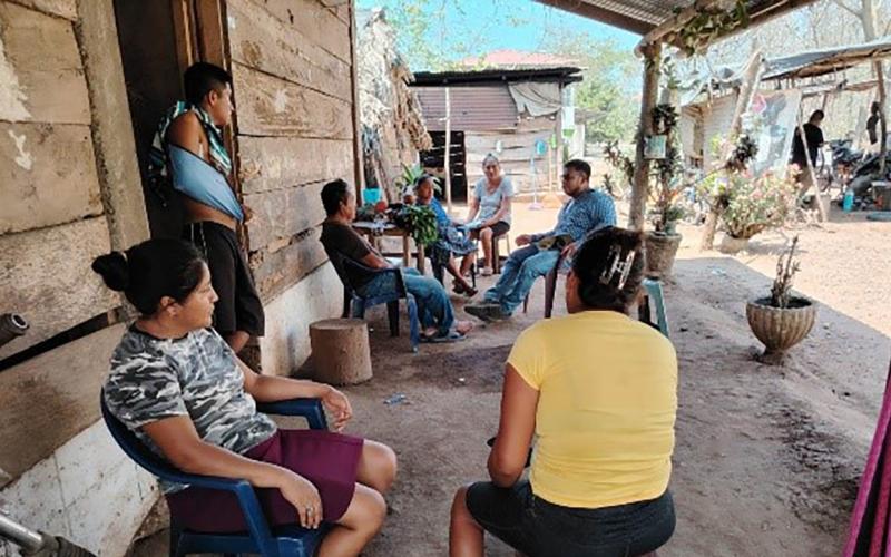 Promueven cultivo del frijol para contribuir a la dieta y salud del suelo